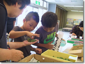 写真：かいこ展の様子1