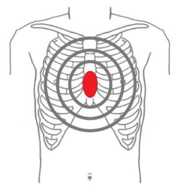 図：胸骨圧迫場所