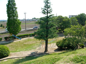 写真：二子山児童遊園の様子12