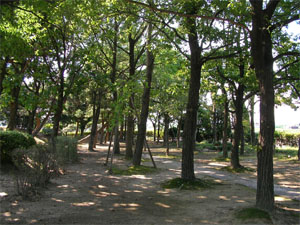 写真：二子山児童遊園の様子7