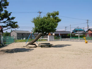 写真：本熊遊園地の状況3