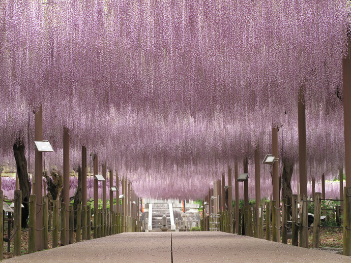 施設案内 曼陀羅寺公園 江南市公式ホームページ