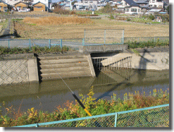 写真：木津用水からの取水