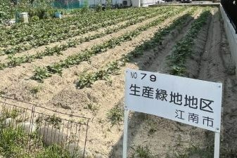 生産緑地