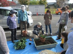 「たのしいベランダ菜園」の様子