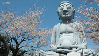 布袋の大仏と桜