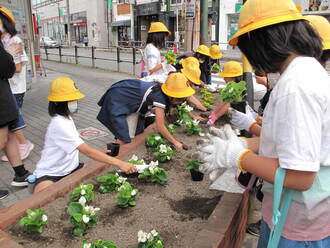 江南駅前花いっぱい運動の写真