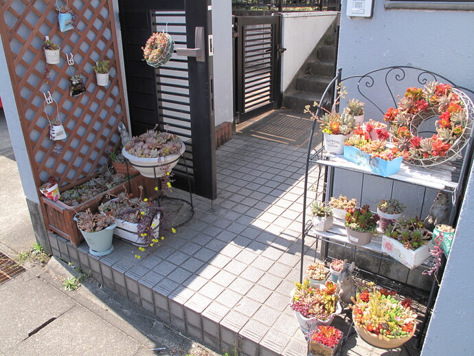 石黒　康子（飛高町）