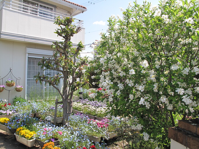 福光　毅八郎（小折本町）