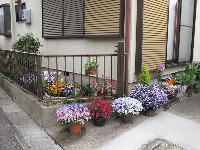 𠮷田　裕江（上奈良町）