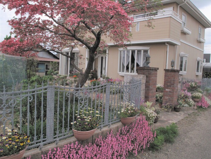 伊藤　祥子（河野町）