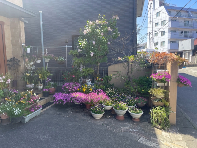 岩田 和美(古知野)