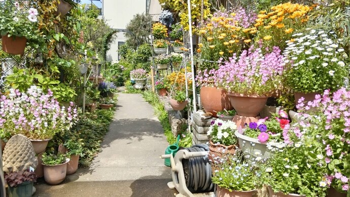 尾関 義公(前野町)