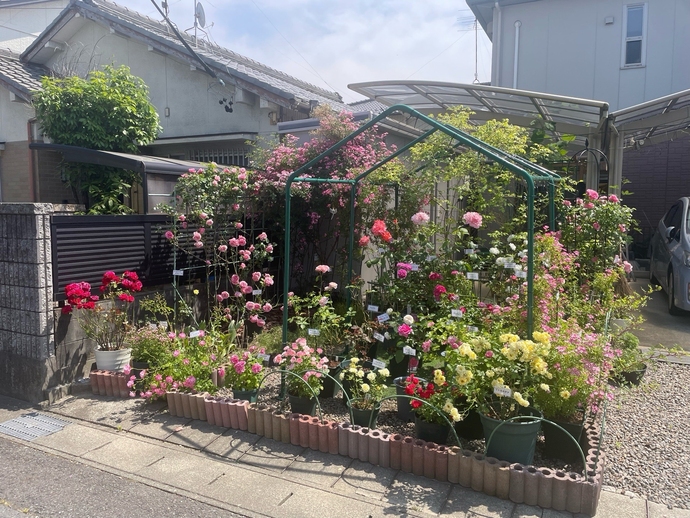 加島 和子(高屋町)