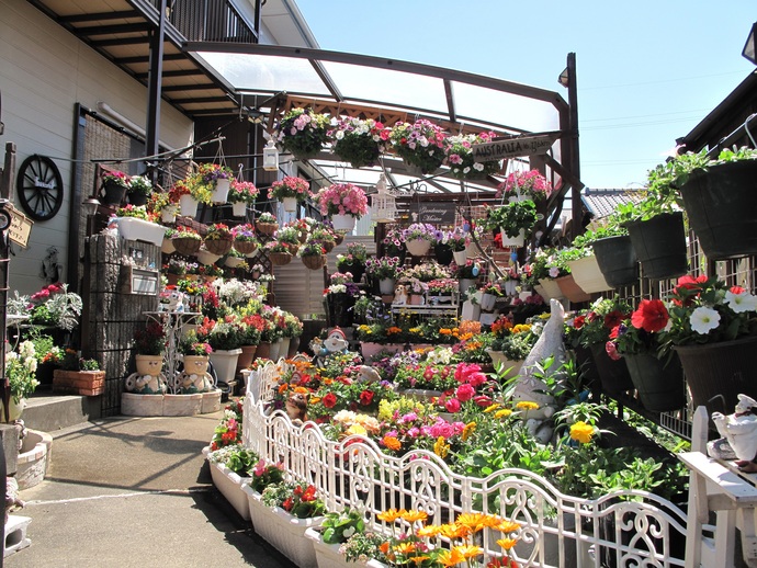 尾関 義公(前野町)