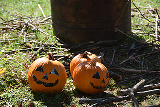 ハロウィンの写真